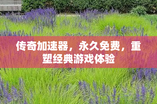 重塑经典游戏体验图片