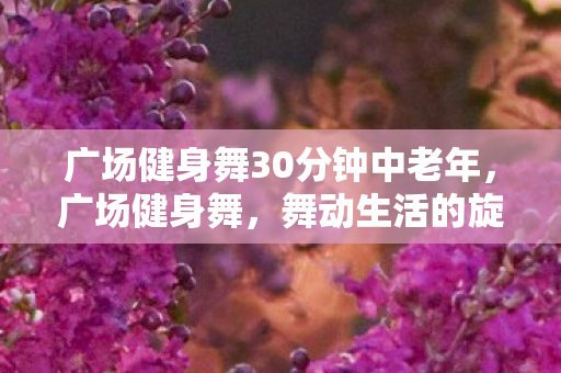 广场健身舞30分钟中老年图片