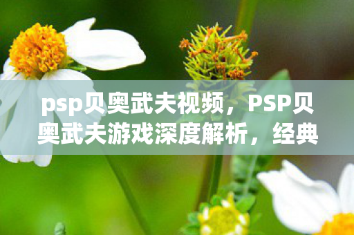 PSP贝奥武夫游戏深度解析图片