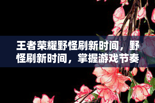 王者荣耀野怪刷新时间图片