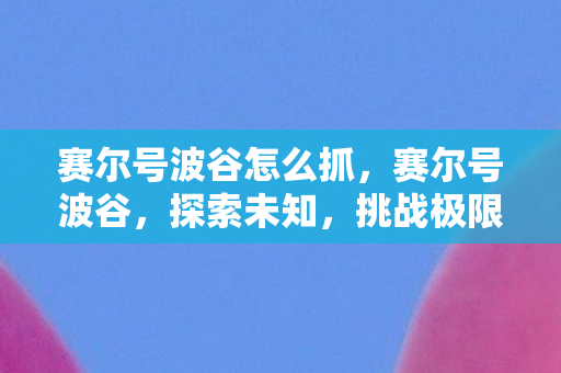 赛尔号波谷怎么抓图片