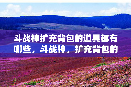 斗战神扩充背包的道具都有哪些图片