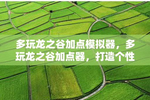 多玩龙之谷加点模拟器图片