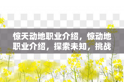 惊天动地职业介绍图片