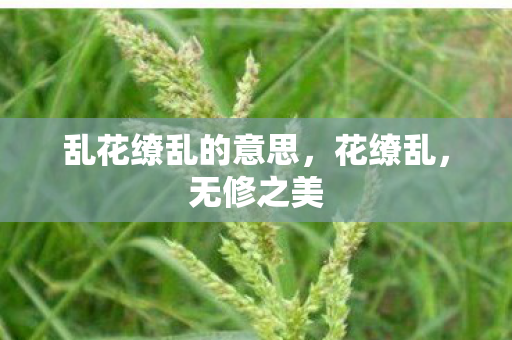 乱花缭乱的意思图片