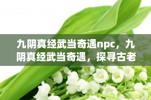 九阴真经武当奇遇npc图片