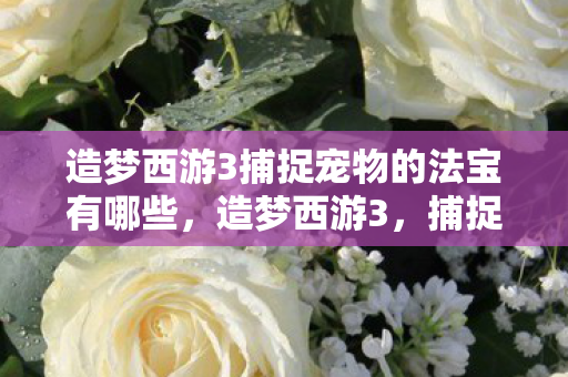 造梦西游3捕捉宠物的法宝有哪些图片