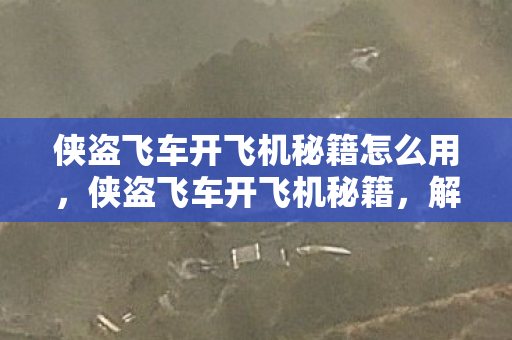 侠盗飞车开飞机秘籍怎么用图片