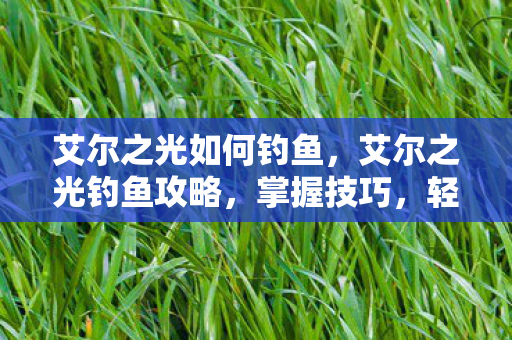 艾尔之光如何钓鱼图片