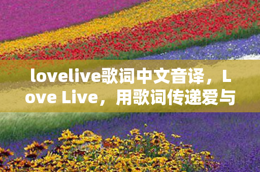 lovelive歌词中文音译图片