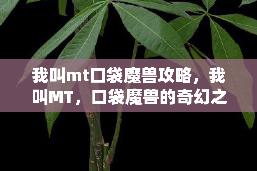 我叫mt口袋魔兽攻略图片