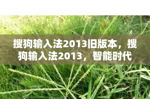 搜狗输入法2013旧版本图片