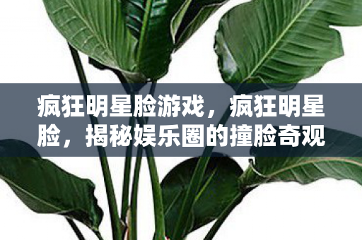 揭秘娱乐圈的撞脸奇观图片