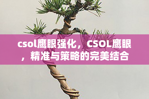 精准与策略的完美结合图片