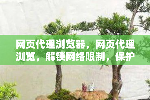 网页代理浏览器图片