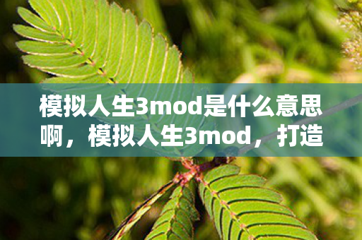 模拟人生3mod是什么意思啊图片