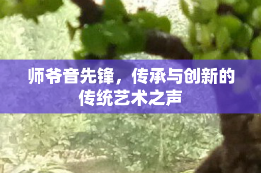 传承与创新的传统艺术之声图片