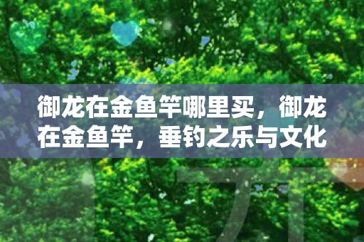 垂钓之乐与文化的交融图片