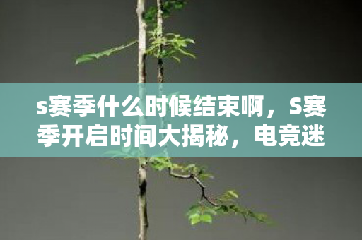 电竞迷们的狂欢盛宴即将来临图片
