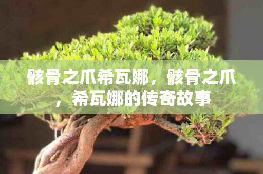 希瓦娜的传奇故事图片