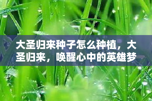 大圣归来种子怎么种植图片