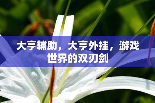 游戏世界的双刃剑图片