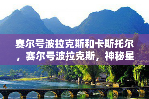 赛尔号波拉克斯和卡斯托尔图片