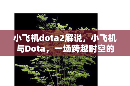 一场跨越时空的竞技之旅图片