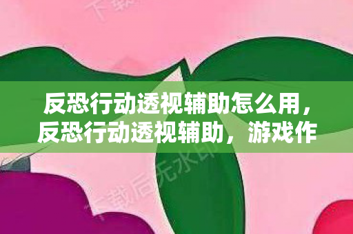 反恐行动透视辅助怎么用图片