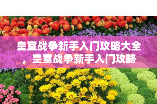 皇室战争新手入门攻略大全图片