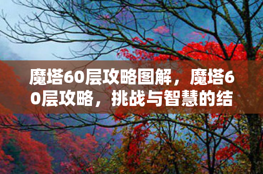 魔塔60层攻略图解图片