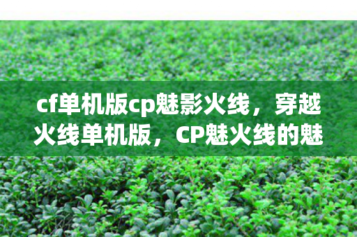 cf单机版cp魅影火线图片