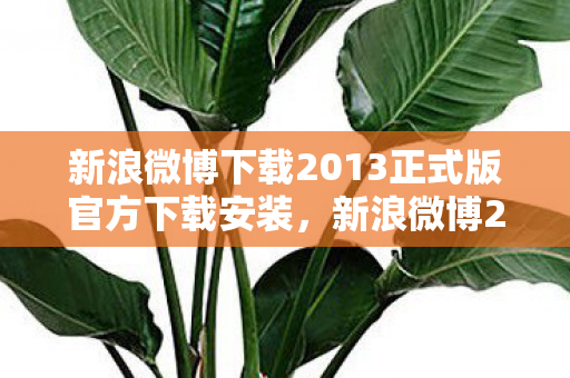 新浪微博下载2013正式版官方下载安装，新浪微博2013正式版，重温经典，感受时代变迁