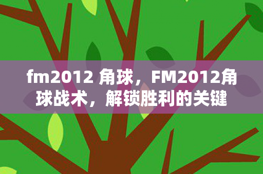 FM2012角球战术图片