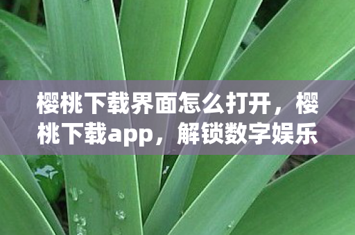 樱桃下载界面怎么打开图片