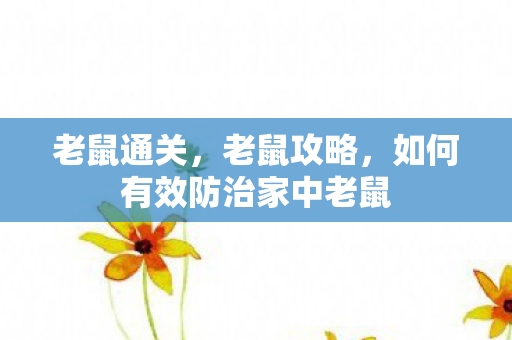 如何有效防治家中老鼠图片