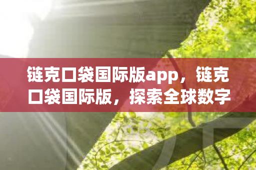 探索全球数字资产的新篇章图片