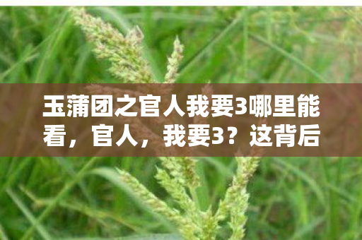 玉蒲团之官人我要3哪里能看图片