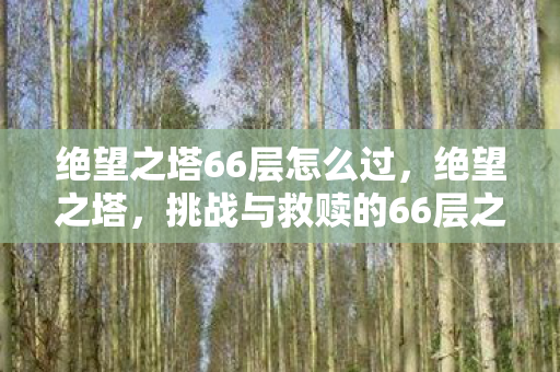 挑战与救赎的66层之旅图片