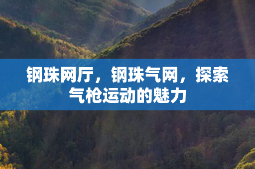 探索气枪运动的魅力图片