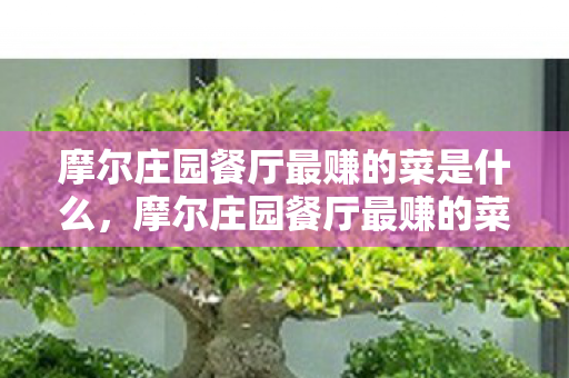 摩尔庄园餐厅最赚的菜是什么图片