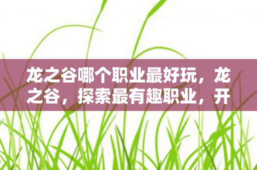 龙之谷哪个职业最好玩图片