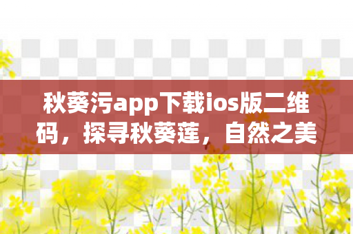 秋葵污app下载ios版二维码图片