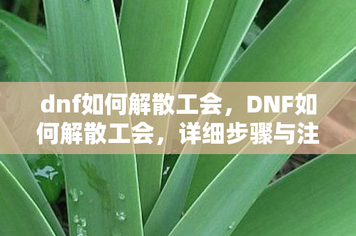 dnf如何解散工会图片