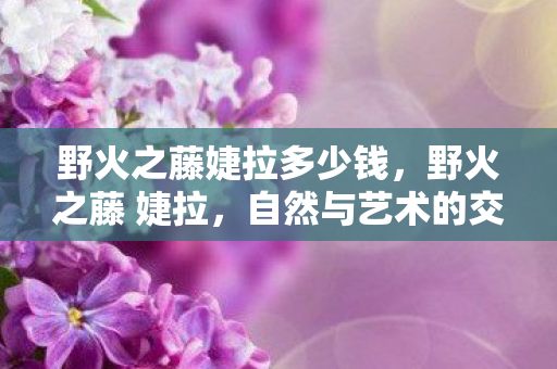 野火之藤婕拉多少钱图片