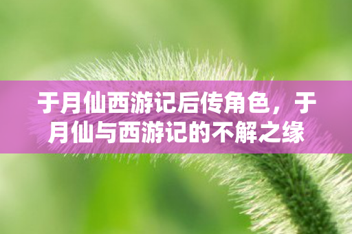 于月仙与西游记的不解之缘图片