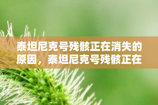 泰坦尼克号残骸正在消失的原因图片