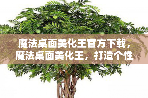 打造个性化电脑空间的秘密武器图片