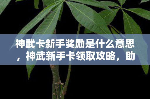 神武卡新手奖励是什么意思图片