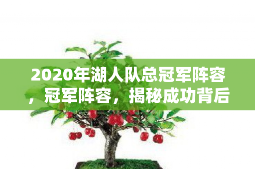 2020年湖人队总冠军阵容图片